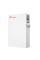 Акумуляторна батарея LUX-E-48100LG04 Felicity (LiFePO4 51,2V 100Ah 5kWh)