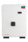 Мережевий інвертор SMA SUNNY HIGHPOWER CORE1