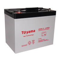 Акумуляторна батарея  Toyama NPG80-12