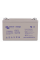 Акумуляторна батарея Victron Energy AGM 12V - 110 Ah